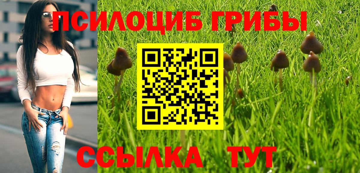 Псилоцибиновые грибы мухоморы Владивосток